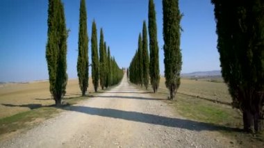 Toskana Yolu 'ndaki Cypress Ağaçları Sırası - Sürücü POV