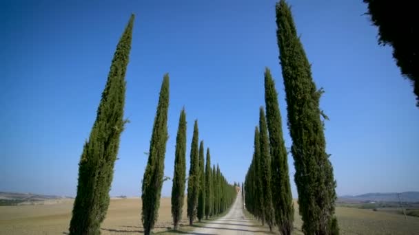 Toskana Yolu 'ndaki Cypress Ağaçları Sırası - Sürücü POV — Stok video