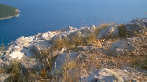 Vista aérea del casco antiguo de Dubrovnik — Vídeo de stock