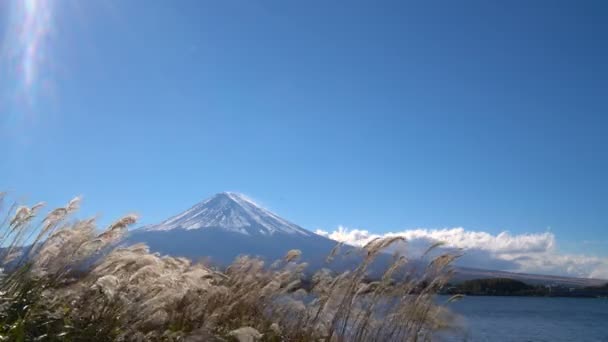 Mount Fuji nézett tó Kawaguchiko, Japán — Stock videók
