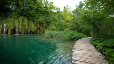 Hırvatistan 'ın Plitvice Göllerinde Şelale.