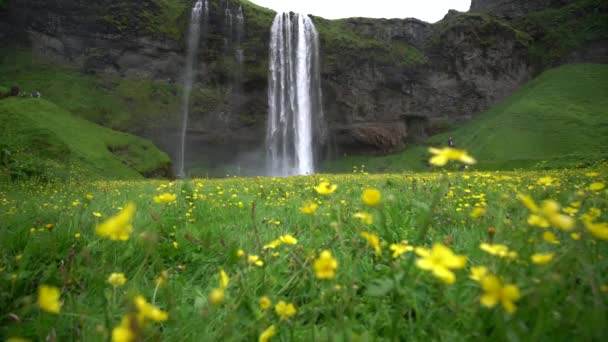 Magical Seljalandsfoss Waterfall in Iceland. — Stock Video