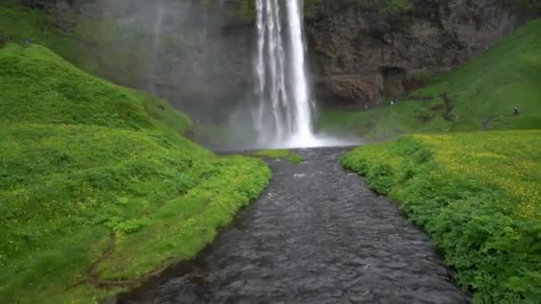 アイスランドの魔法のSeljalandsfoss滝. — ストック動画