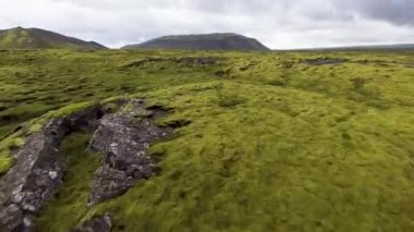 İzlanda 'daki yosunlu lav alanının havadan görünüşü.