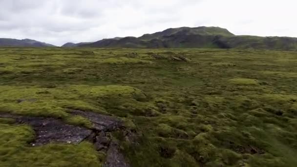 Letecký pohled na mechovité lávové pole na Islandu. — Stock video