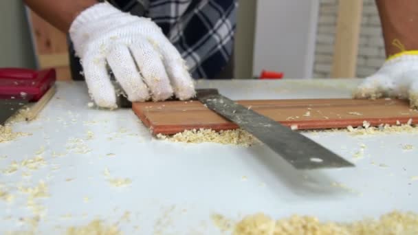 Menuisier travaillant sur l'artisanat du bois à l'atelier — Video