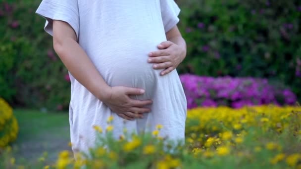 Femme Enceinte Sentant Heureuse Maison Tout Prenant Soin Son Enfant — Video