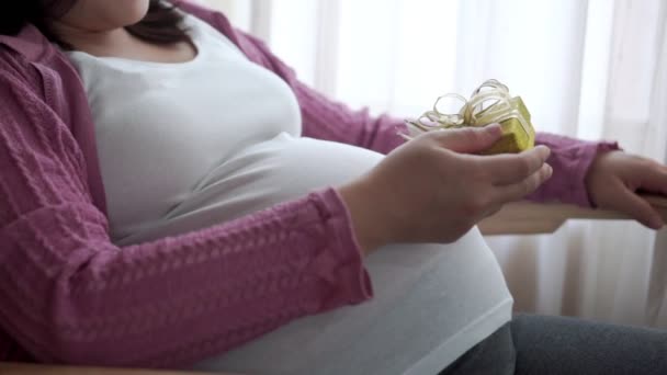 Hamile Çift Evde Sevgi Hisseder Rahatlar Hamile Bir Kadın Hamile — Stok video