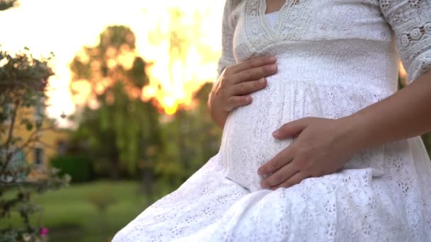 Femme Enceinte Sentant Heureuse Avec Une Nouvelle Vie Maison Jardin — Video