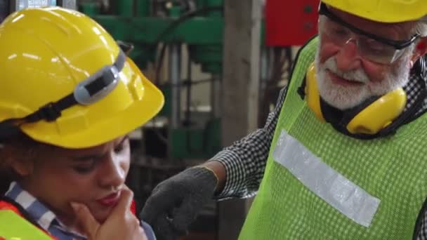 Groep fabrieksarbeiders die machineapparatuur gebruiken in fabriekswerkplaats — Stockvideo