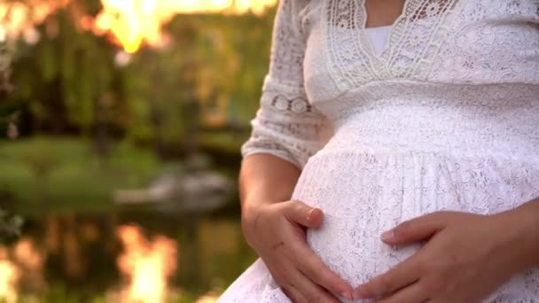 Hamile kadın bahçe evinde mutlu.. — Stok video