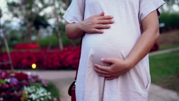 Wanita hamil yang bahagia dan mengharapkan bayi di rumah. — Stok Video