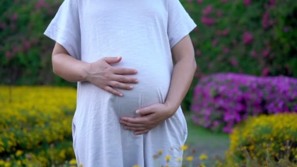 Šťastná těhotná žena a čeká dítě doma. — Stock video