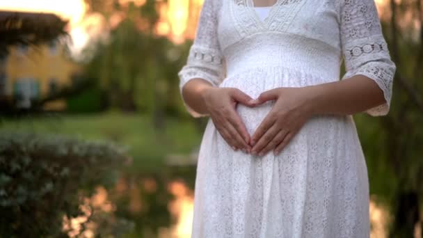 Femme enceinte se sentant heureuse à la maison de jardin. — Video