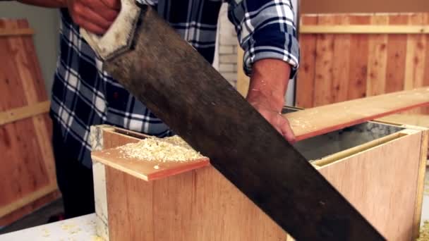 Carpinteiro trabalhando em artesanato de madeira na oficina — Vídeo de Stock