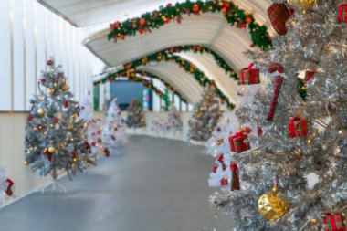 Kentte yürüyüş yolu boyunca Noel ağacı süslemesi.