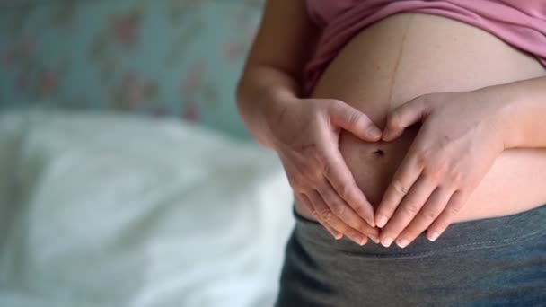 Gelukkig zwangere vrouw en verwacht baby thuis. — Stockvideo