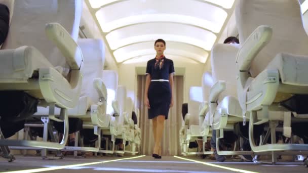 Cabinepersoneel dat in het vliegtuig loopt tijdens een nachtvlucht — Stockvideo