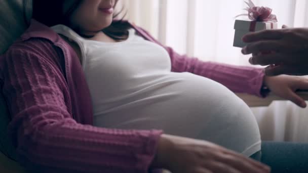 Schwangere empfindet Liebe und Entspannung zu Hause. — Stockvideo