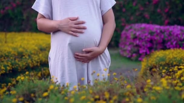 Happy pregnant woman and expecting baby at home. — Stock Video