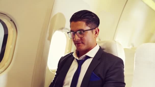 Jonge zakenman met laptop in het vliegtuig — Stockvideo