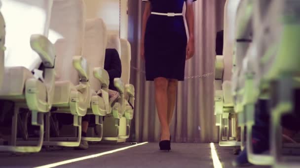 Cabin crew walking in airplane during a night flight — Stock Video